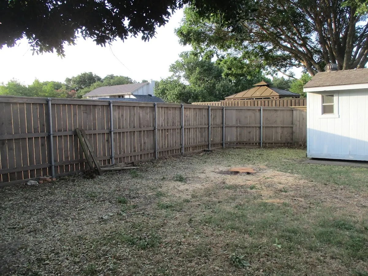 Cleared yard after professional tree removal in Mill Spring